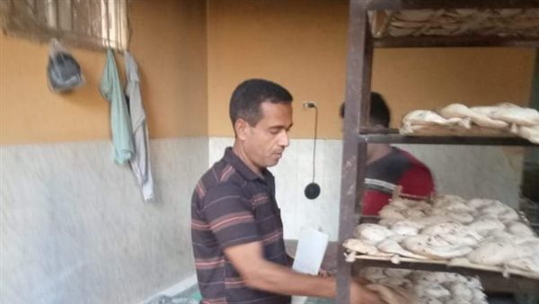 حملات تفتيشية بالمنيا