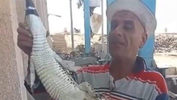 الصياد ومعه التمساح