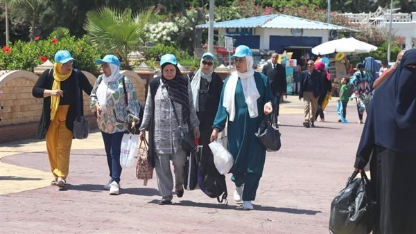 وزارة قطاع الأعمال