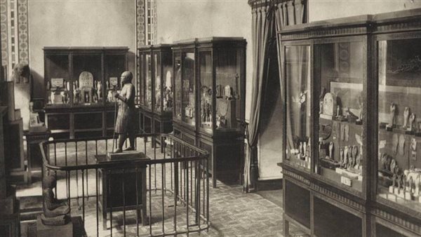 صورة نادرة للقطع