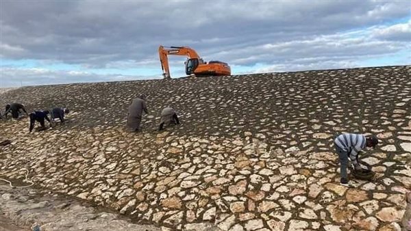 أعمال الحماية من