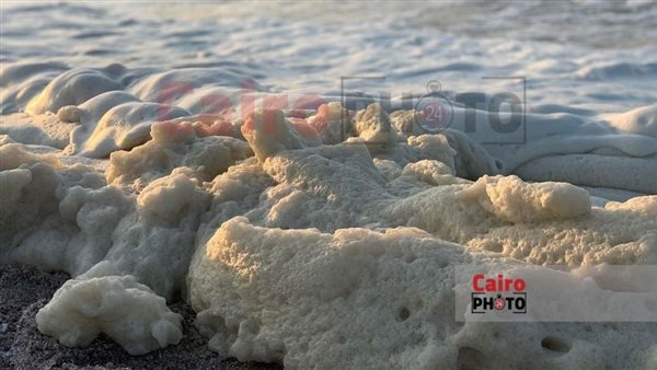 زبد البحر علي شاطئ