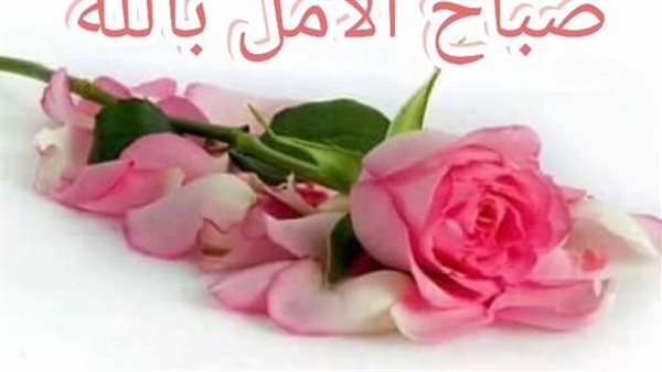 دعاء الصباح من القرآن