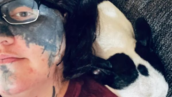 تايلور وايت