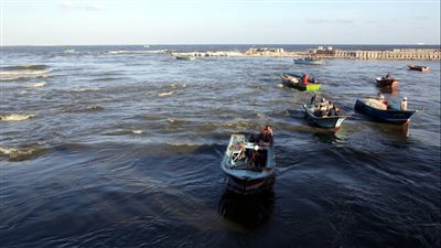 تقرير: 400 مليار دولار خسائر عالمية بسبب انتقال الكائنات الحية من بيئتها الأصلية