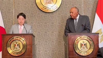 شكري: نعمل مع اليابان على الارتقاء بالعلاقات لمستوى الشراكة الاستراتيجية