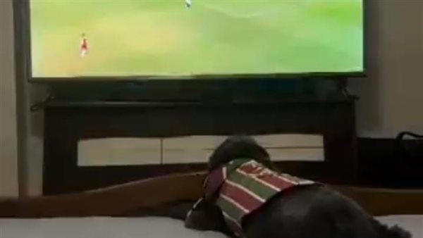 كلب يحتفل بهدف فريقه