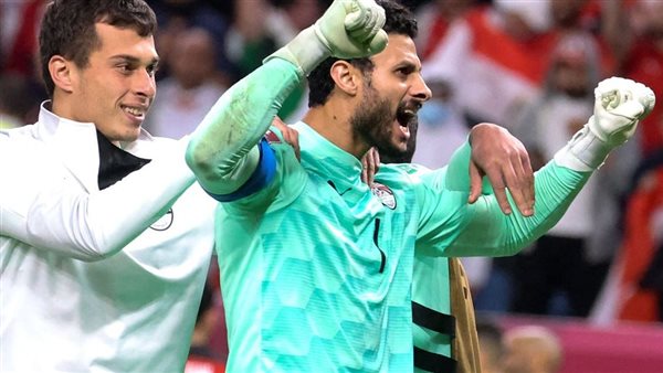 محمد الشناوي 