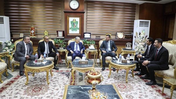 محافظ المنيا