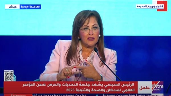 وزيرة التخطيط