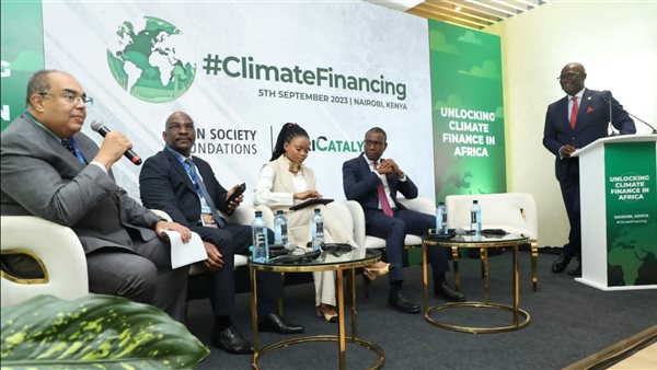 محمود محيي الدين