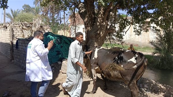 جانب من القافلة