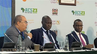 محمود محيي الدين: تنفيذ المشروعات المرتبطة بالمعادن الحرجة في إفريقيا يتطلب شراكات أكبر 