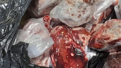 تموين الأقصر تضبط لحوما ومقرمشات دجاج منتهية الصلاحية بحملات مكبرة على الأسواق