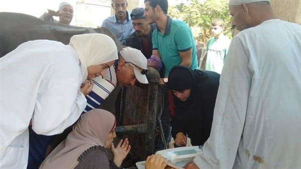 قافلة الطب البيطري