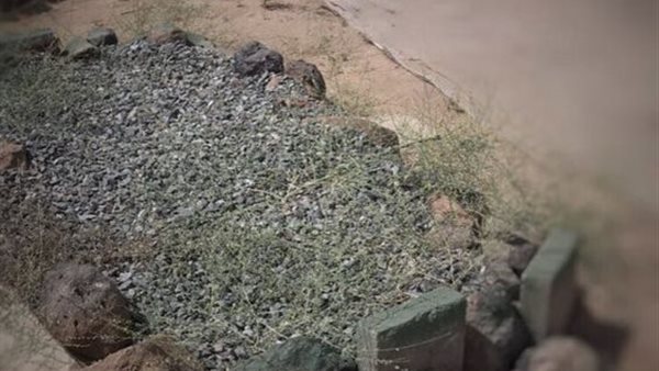 دعاء زيارة القبور