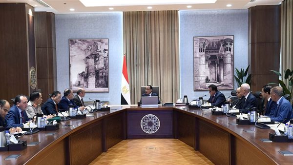 اجتماع الدكتور مصطفى