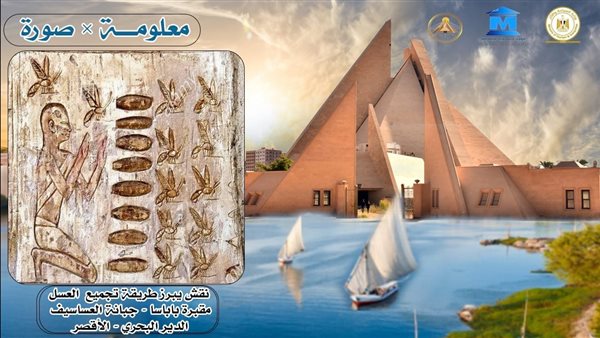 عسل النحل في مصر