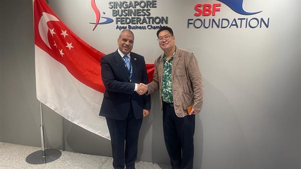 اللواء مهندس وليد