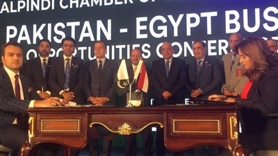 وزير قطاع الأعمال: نتطلع لزيادة الاستثمارات بين مصر وباكستان وتوفير فرص غير مسبوقة 