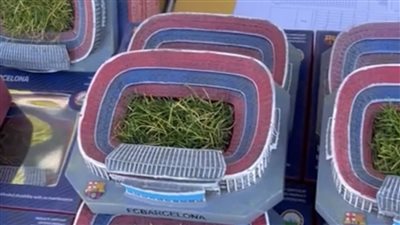 يبدأ من 20 يورو.. برشلونة يبدأ بيع عشب كامب نو