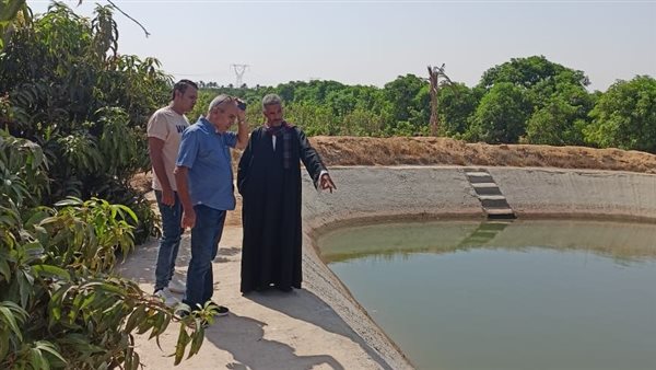 جانب من الحادث 