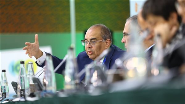 محمود محيي الدين