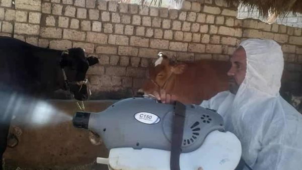 الطب البيطري بالمنيا