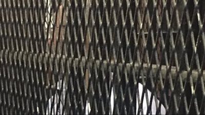 دفاع المتهم بإنهاء حياة جاره في الدقهلية يطالب بعرض موكله على مستشفى الأمراض العقلية | بث مباشر 