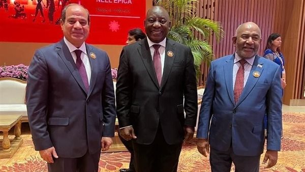 السيسي يجري عددًا