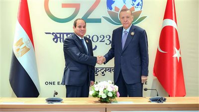 السيسي وأردوغان يؤكدان أهمية العمل من أجل دفع مسار العلاقات بين البلدين