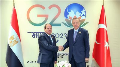 أردوغان: نهتم بإحياء التعاون مع مصر في مجالات الغاز المسال والطاقة النووية والثقافة