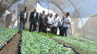 بمناسبة عيد الفلاح.. محافظ القليوبية يتفقد عددًا من الصوب الزراعية ومعمل تفريخ وثلاجة لحفظ الخضراوات في بنها