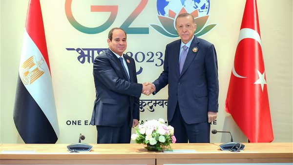 الرئيس السيسي وأردوغان