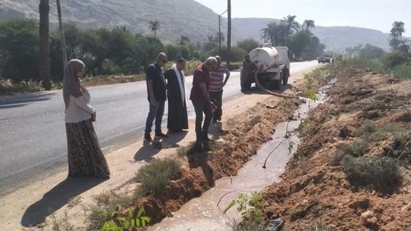 زراعة الأشجار بأسيوط