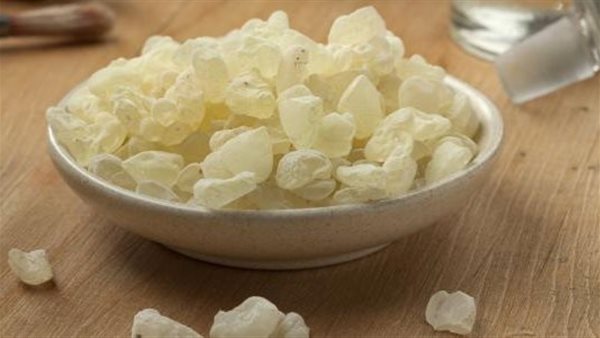 فوائد المستكة 