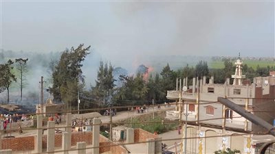 الحماية المدنية تسيطر على حريق في مزرعة موالح بالدقهلية 