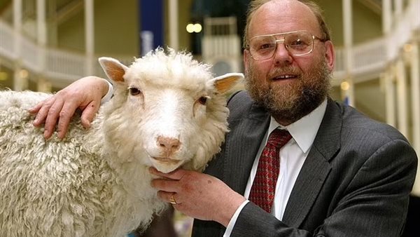  السير إيان والنعجة