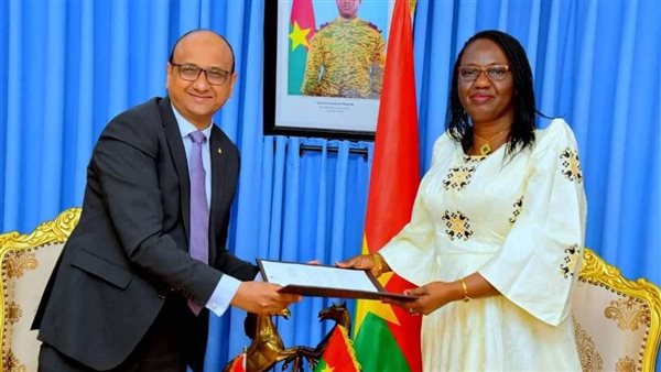 السفير المصري والوزير