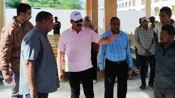 محافظ أسوان