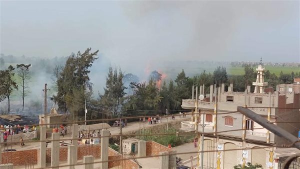 حريق المزرعة