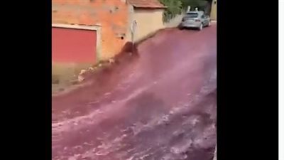 أنهار من الخمور.. 2 مليون لتر من النبيذ الأحمر يجتاح شوارع البرتغال