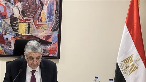 وزير الكهرباء 