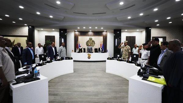 محافظ أسوان