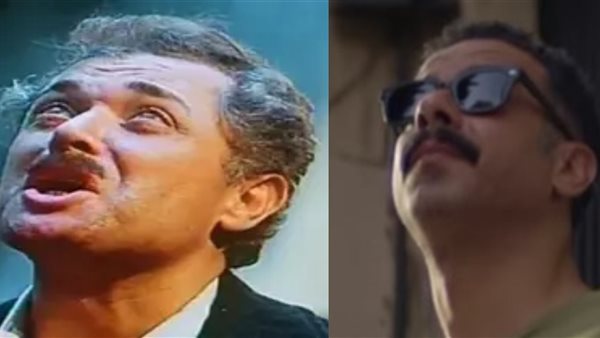 محمود عبد العزيز