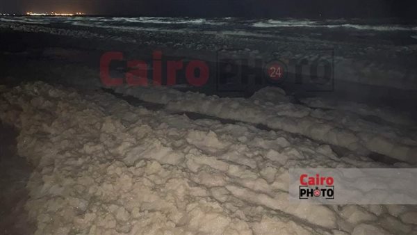 زبد البحر علي شاطئ