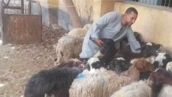 تضامن المنيا