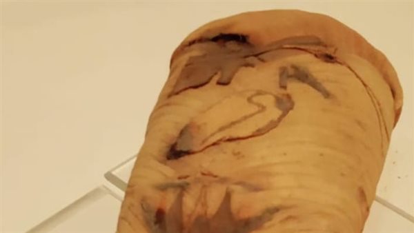  مومياء طائر أبى