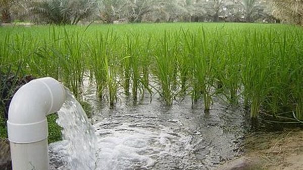 الري - تعبيرية 