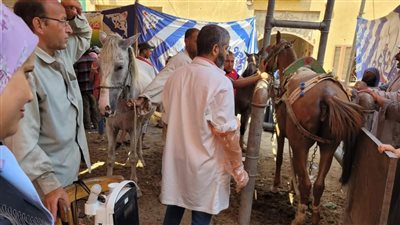 قافلة بيطرية مجانية لخدمة صغار المربين بالدقهلية